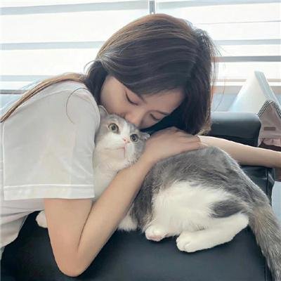 珠峰队长